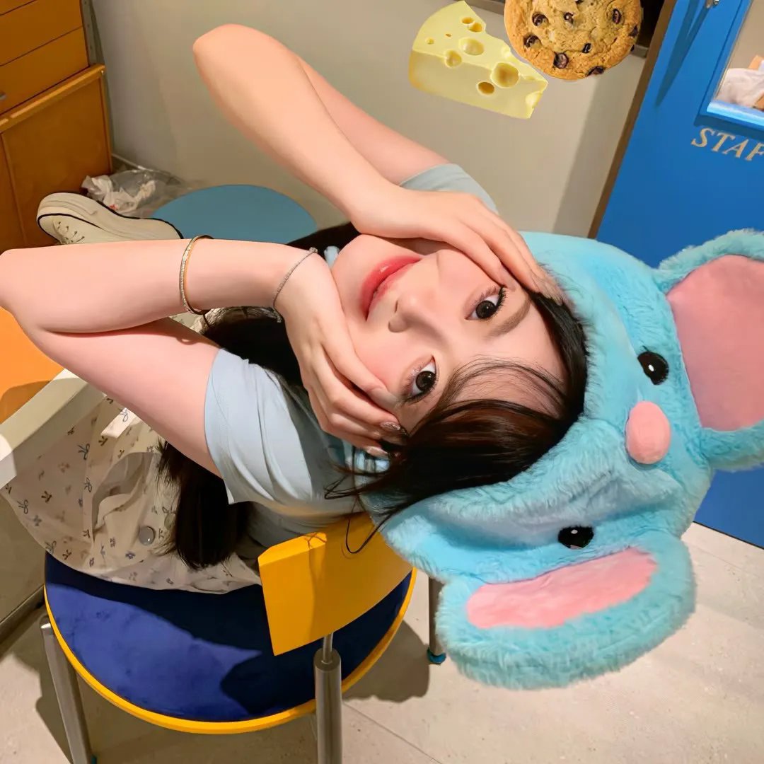 谎言的真相